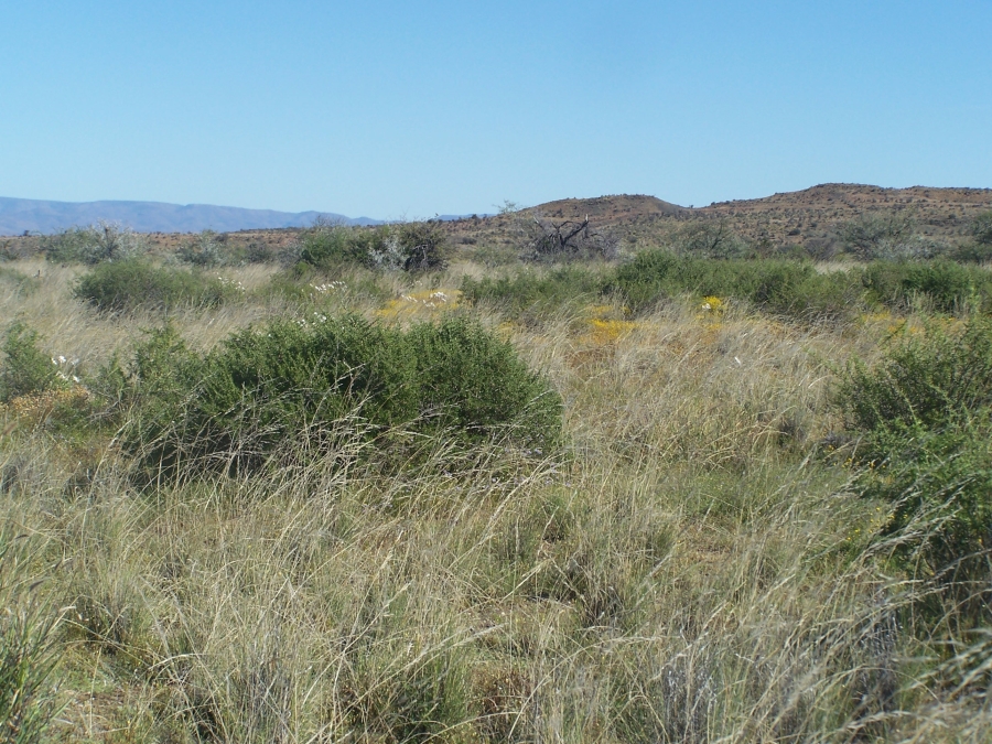 Commercial Property for Sale in Prince Albert Rural Western Cape